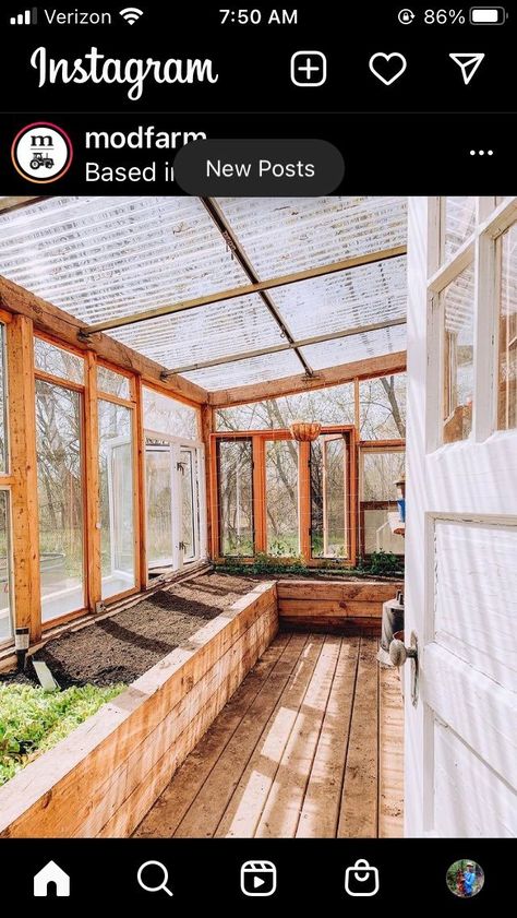 Home Greenhouse, Plants Growing, Backyard Greenhouse, Greenhouse Plans, Home Aesthetic, House Goals, Dream House Decor, Cafe Interior, Dream Garden