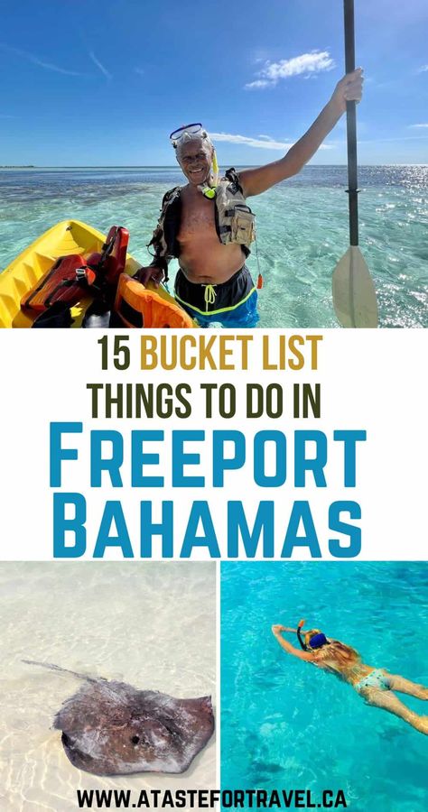 Discover the best things to do in Freeport, Bahamas! This guide to attractions, beaches and cruise ship excursions has lots of insider tips for your vacation in Grand Bahama. Bahamas Itinerary, Bahamas Family Vacation, Bimini Islands, Bimini Bahamas, Freeport Bahamas, Caribbean Life, Bahamas Travel, Grand Bahama, Bahamas Vacation