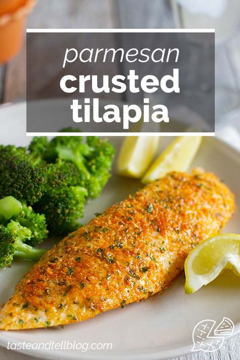 This Parmesan Crusted Tilapia is a simple fish recipe that is done in 20 minutes and will even impress non-fish lovers! #recipe #fish #tilapia #easydinner #dinner How To Cook Tilapia, Tilapia Recipes Easy, Parmesan Crusted Tilapia, Crusted Tilapia, Baked Tilapia, Fish Dinner Recipes, Delicious Seafood Recipes, Tilapia Recipes, Easy Fish Recipes