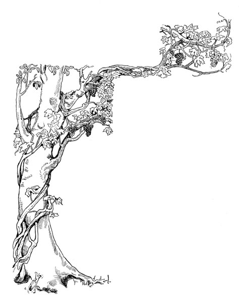 vintage images | Antique Images: Free Vintage Decorative Corner Design: Vintage Grape ... Vine Drawing, Vine Tattoos, White Illustration, Tree Illustration, Tree Drawing, Black And White Illustration, Illuminated Manuscript, Drawing Tutorials, Art Tutorial