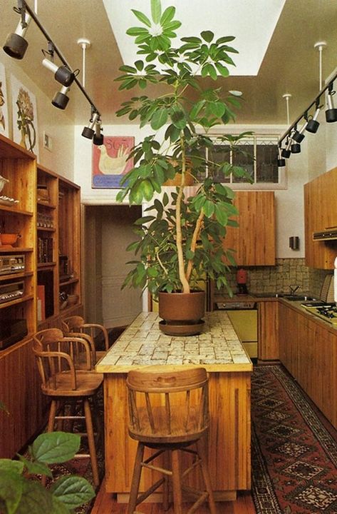 From Decorating With Plants, 1980 Decorating With Plants, 70s Interior Design, 80s Interior, 70s House, 70s Interior, Retro Interior Design, 70s Home, 70s Home Decor, Modern Vintage Decor