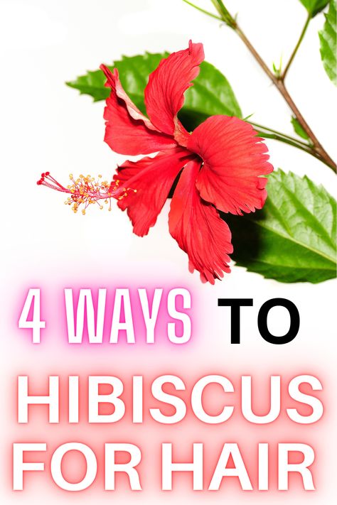 hibiscus for hair growth, couture hair pro, hair care, 4 best ways to use hibiscus for hair, hair care routine Hibiscus Water For Hair, Hibiscus Hair Mask, Hibiscus For Hair, Benefits Of Hibiscus, Hibiscus Oil, How To Make Shampoo, Hair Pro, How To Darken Hair, Hibiscus Leaves