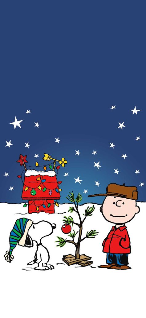 Charlie Brown Wallpaper, Wallpaper Snoopy, Peanuts Wallpaper, A Charlie Brown Christmas, Charlie Brown Tree, Charlie Brown Christmas Tree, 2560x1440 Wallpaper, Xmas Wallpaper, Christmas Wallpaper Backgrounds