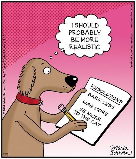 If Animals Made New Year's Resolutions Lists (Comics) - I Can Has Cheezburger? Pet Jokes, New Year Jokes, New Years Resolution List, Spoiled Pets, Dog Comics, Animal Tails, Funny New Year, Dog Jokes, Jokes Images