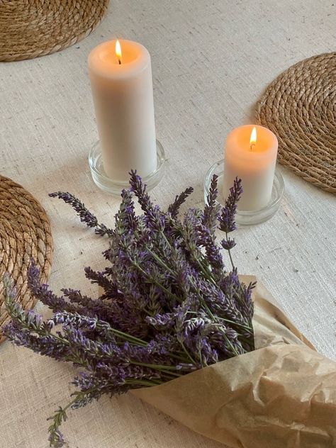 Beige Lavender Aesthetic, Lavender Vanilla Aesthetic, Lavender Flower Aesthetic, Lavender Field Aesthetic, Lavanda Aesthetic, Lavender Bouquet, Lavender Aesthetic, Adventure Aesthetic, Lavender Plant