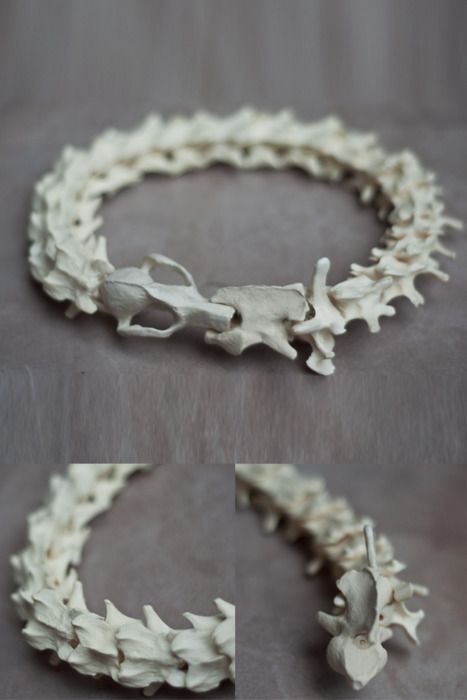 Animal Skeletons, Bones Bracelet, Bone Crafts, Vulture Culture, Bone Art, Bone Jewelry, Family Jewels, Skull And Bones, Precious Gems