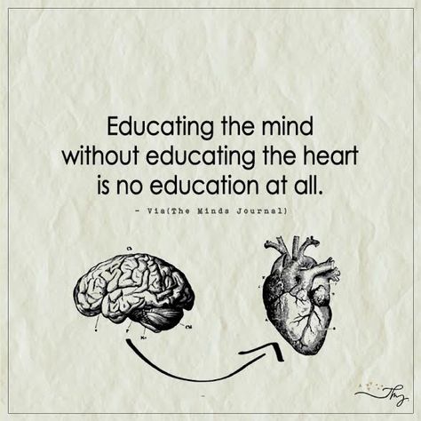 Educating the mind without educating the heart is no education at all. - http://themindsjournal.com/educating-the-mind-without-educating-the-heart-is-no-education-at-all/ Educating The Mind Without Heart, Mind Journal Quotes, Education Related Drawings, Heart And Brain Quotes, The Mind Quotes, Mind And Heart Quotes, Quotes Personality, Brain Quotes, Brains Quote