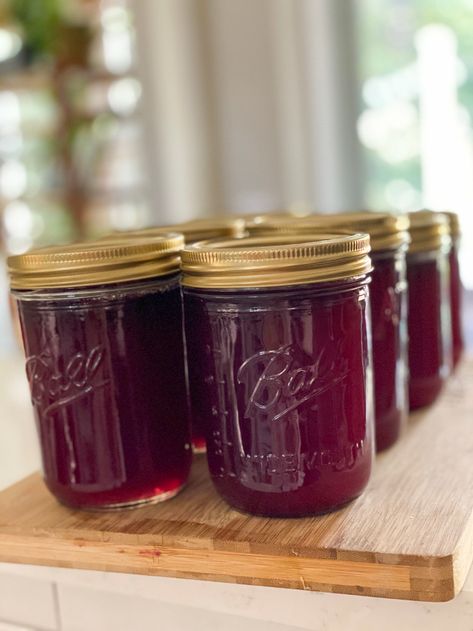 Muscadine Canning Recipes, Canning Muscadine Jelly, Muscadine Grape Jelly Recipe, Muscadine Grape Recipes, Mustang Grape Jelly Recipe, Muscadine Grapes Recipes, Easy Muscadine Jelly Recipe, Muscadine Jelly Recipe, Muscadine Recipes