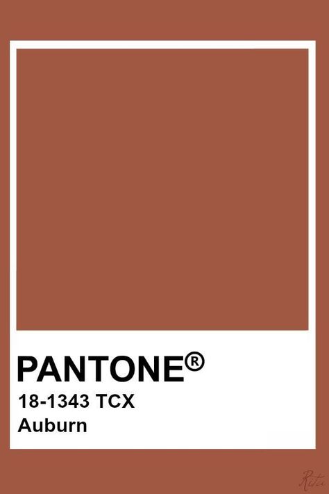 Pantone Burnt Orange, Autumn Pantone, Wedding Puglia, Palette Autumn, Pantone Tcx, Pantone Red, Pantone Colours, Pantone Color Chart, Pantone Swatches