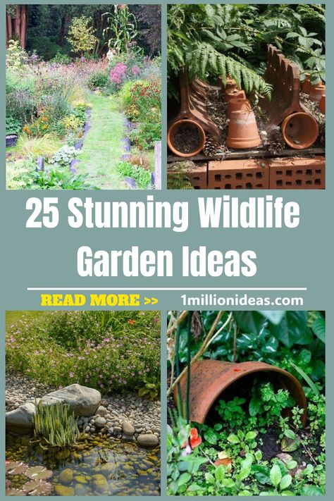 If you love seeing a natural-looking garden, or you’ve got a passion for wildlife and want to attract more to your garden,… Meadow Garden, Bird Sanctuary Ideas Backyards Gardens, Wildlife Garden Ideas, Wildlife Garden Design, Pollinator Garden Design, Habitat Garden, Medicinal Herbs Garden, Wildlife Garden, English Cottage Garden