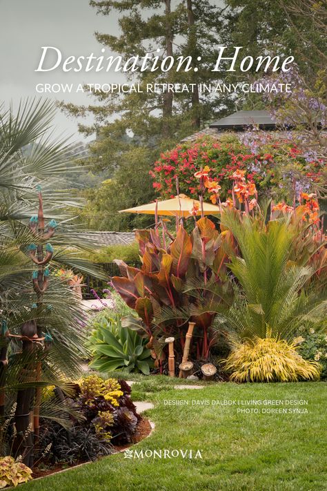 You don't have to live in the tropics to create a relaxing resort-like retreat that's inspired by the tropical gardens. Get our tips and plant picks to help you achieve that lush, exotic look no matter where you live. Find waterwise, shade-tolerant, and cold-hardy plants that are lush, summery, and full of color. Drought Tolerant Tropical Plants, Resort Garden, Zone 9 Tropical Landscaping, Tropical Shade Plants Florida, Cold Hardy Tropical Landscaping, Cold Hearty Tropical Plants, Tropical Garden In Cold Climate, Cold Hardy Tropical Plants, Lush Tropical Landscape