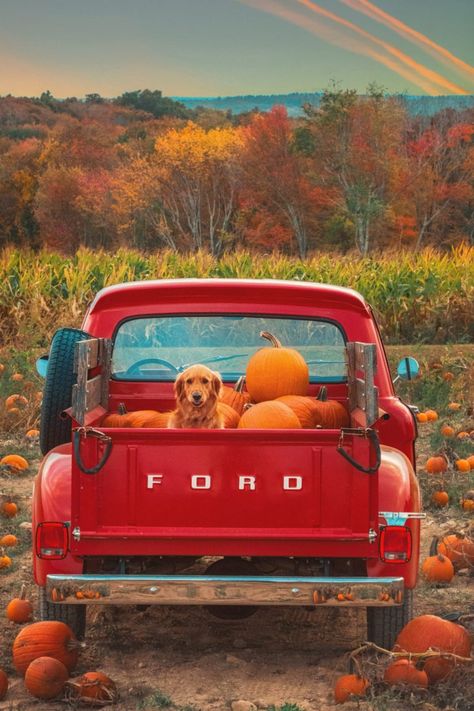 Little Red Truck - Classy Girls Wear Pearls Foto Cowgirl, Country Backgrounds, Classy Girls Wear Pearls, Classy Girl, Autumn Scenery, Vintage Truck, Fall Pictures, Red Wallpaper, Red Truck