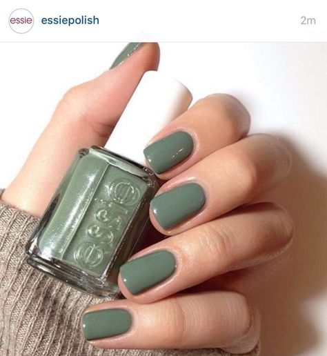 Essie green New Nail Colors, Nagellack Trends, Fun Nail Colors, Nail Color Trends, Green Nail, Nails Polish, Pedicure Nail Art, Essie Nail, Fall Nail Colors