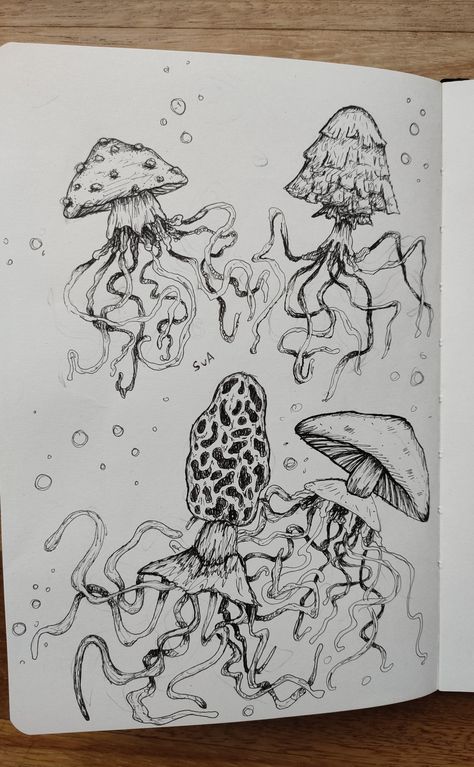 sketch of mushroom jellyfish Mushroom Jellyfish Drawing, Mushroom Jellyfish Tattoo, Funky Sketches, Jellyfish Core, Mushroom Jellyfish, Sketchy Drawings, Jellyfish Sketch, Jellyfish Drawing, Butterfly Drawing