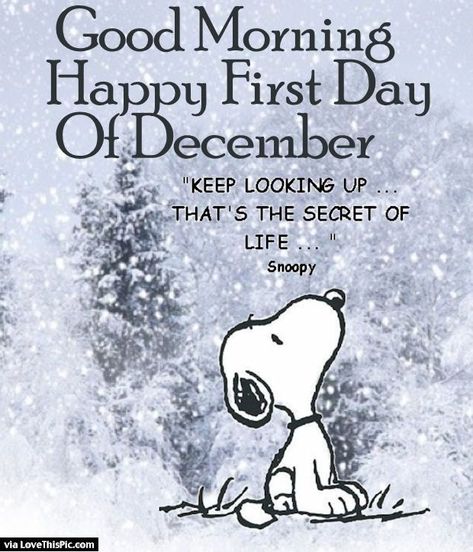 Good Morning Happy First Day Of December Pictures, Photos, and Images for Facebook, Tumblr, Pinterest, and Twitter First Day Of December, The Secret Of Life, Secret Of Life, December Quotes, Heather Stillufsen, Keep Looking Up, Happy December, Hello December, Snoopy Quotes