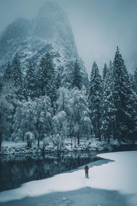 Nature, Snowy Lake Aesthetic, Winter Pine Forest, Snowy Pine Forest, Alaska Aesthetic Winter, Winter Forest Aesthetic, Wilderness Aesthetic, Winter Environment, Alaska Aesthetic