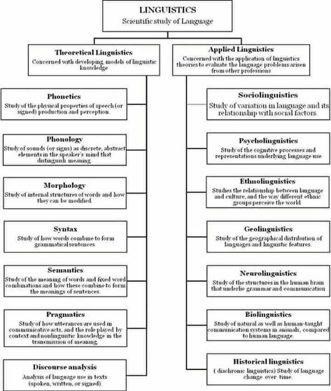 Linguistics Study, English Literature Notes, Literature Lessons, What To Study, Philosophy Of Science, Teaching Literature, Literary Theory, British Literature, English Language Learning Grammar