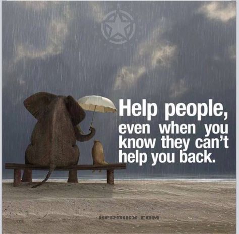 help Quotes About Helping Others, Quotes About Helping, Citation Entrepreneur, Millionaire Mentor, Stock Quotes, Leadership Quotes, Millionaire Lifestyle, When You Know, Help People