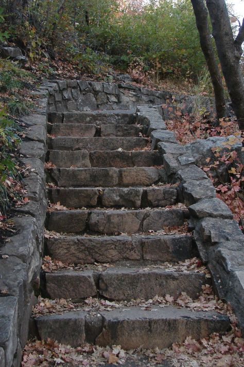 Stairs Stone, Level Backyard, House Backyard Ideas, Stairs Ideas, Stone Steps, Garden Stairs, Exterior Stairs, Stone Stairs, Tile Stairs