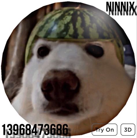 Card Des, Watermelon Dog, Dog Profile, Roblox Items, Code Roblox, Roblox Shirt, Roblox Outfit, Roblox Codes, Cute Easy Drawings