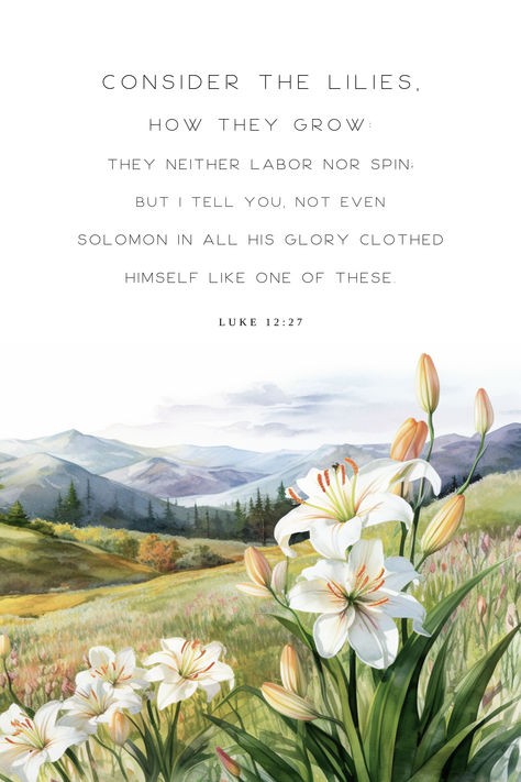 Lilies Of The Field Bible Verse, Consider The Lilies Of The Field, If He Dresses The Lilies Bible Verse, Bible Flower Quotes, Consider The Lilies Wallpaper, Luke 12:27 Wallpaper, Consider How The Wildflowers Grow, Luke 12:27, Lily Quotes