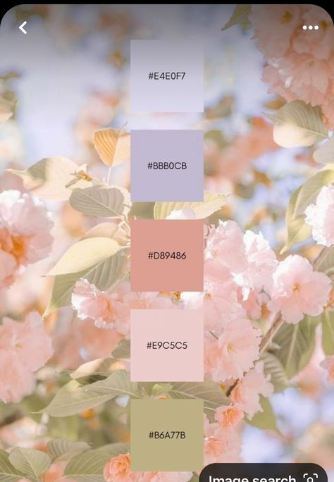 Pale Pink Color Scheme, Colour Palette Muted, Soft Pink Palette Colour Schemes, Pink Wedding Palette Colour Schemes, Stationery Color Palette, Color Ways Inspiration, Dainty Color Palette, Pastel Cozy Aesthetic, May Colors Palette