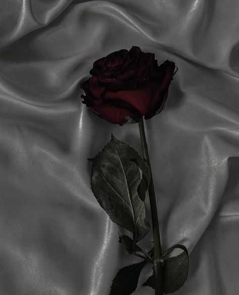 Red + Core + Aesthetic, Rosé Dark Aesthetic, Dark Red Roses, Red Roses Wallpaper, Aesthetic Roses, Rosé Aesthetic, Red Icons:), Nothing But Flowers, Phone Wallpaper For Men