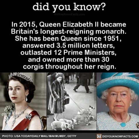 Fun Historical Facts, Queen Elizabeth Funny, The Queen Elizabeth Ii, Quotes Queen, Did You Know Facts, Random Facts, Interesting History, Historical Facts, Prince George