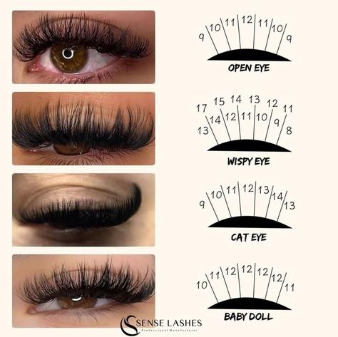 Different Eyelash Extension Curls, Simple Lash Mapping, Eyelash Mapping Lash Extensions Cat Eye, Lash Pattern Mapping, D Curl Vs Dd Curl Lashes, Lash Style Mapping, 50d Lash Map, Lash Map For Droopy Eyes, Lash Clusters Mapping