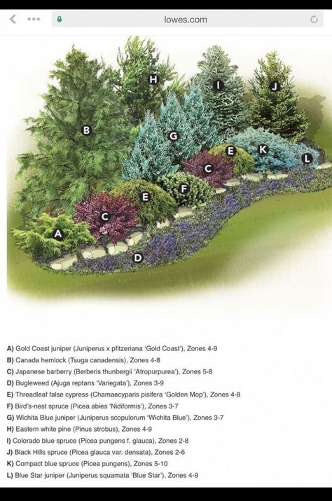 Barndominium Landscaping, Privacy Landscaping Backyard, Evergreen Landscape, Conifers Garden, Evergreen Garden, Privacy Landscaping, Front Yard Garden Design, Front Landscaping, Landscaping With Large Rocks