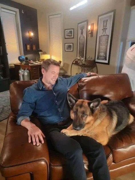 John Reardon, Steve Burton, Major Crimes, Police Detective, Bestest Friend, Pretty Animals, Actor Photo, German Shepherd Dogs, Shepherd Dog