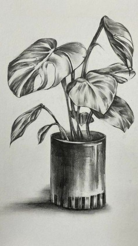 Drawing Ideas Still Life, Sketch Ideas Still Life, Pen Still Life Drawing, Simple Shading Drawing Sketch, Still Life With Pencil Shading, Still Life Shading Drawing, Still Life Ideas Drawing, Sketching Ideas Pencil Nature, Still Life Drawing Pencil Shading