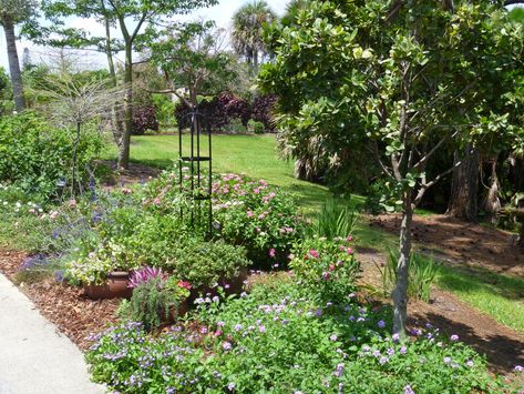 READER PHOTOS! A cottage garden in southern Florida - FineGardening Garden In Florida, Twin Flower, Cottage Garden Borders, Cottage Backyard, Florida Cottage, Florida Native Plants, Country Cottage Garden, Southern Florida, Shade Grass