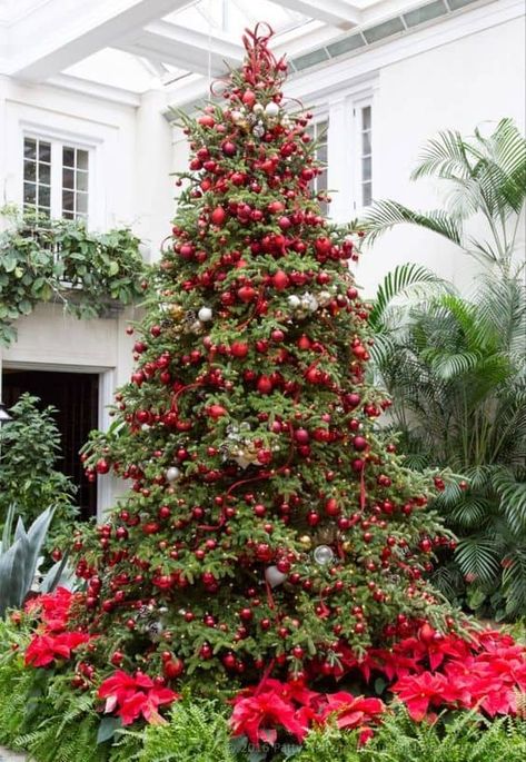 Elegant Christmas Trees, Longwood Gardens, Red Christmas Tree, Christmas Tree Inspiration, Simple Christmas Tree, Beautiful Christmas Trees, Vintage Christmas Tree, Noel Christmas, Christmas Tree Themes