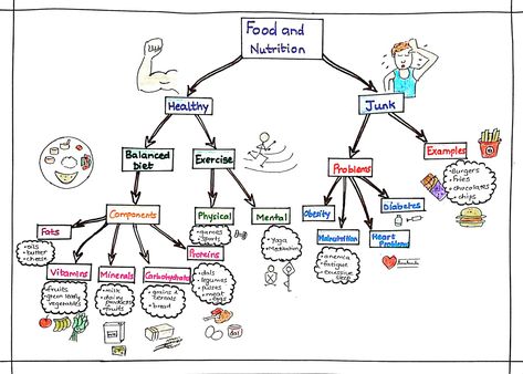 The whole concept of nutrition on a sheet of paper Food Mind Map, Nutrition In Plants, Nursing School Studying Cheat Sheets, Science Fair Projects Boards, Creative Mind Map, Bournemouth University, Nurse Educator, Food Chemistry, British Slang