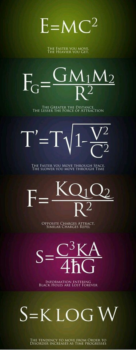 Every Physics Law’s – THE ELEPHANT Bridges Math, Physics Laws, Science Formulas, Wall Building, Brain Size, Learn Physics, Bottle Flip, Physics Formulas, Stem Challenge