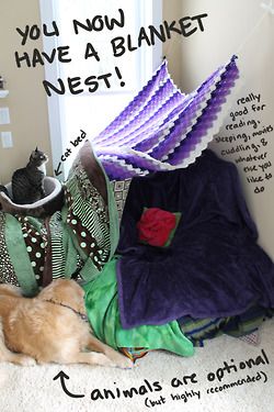 How to make blanket nests (because growing up is for losers) - Imgur Blanket Nest, Motorcycle Camping Gear, Friend Stuff, Tent Fabric, Blanket Fort, Waterproof Tent, Summer Stuff, Make Blanket, Teepee Kids