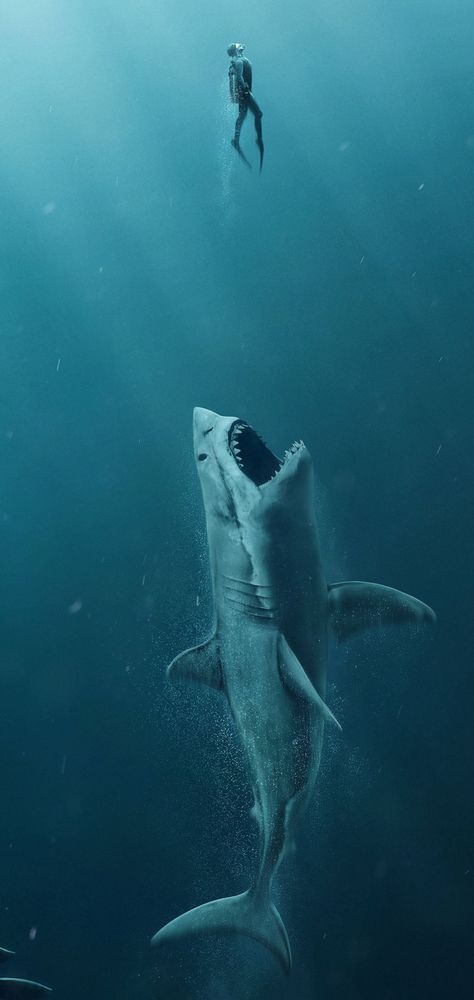 Download Samsung Galaxy A51 and A71 HD Wallpapers | TechBeasts Shark Wallpaper Iphone, Hai Tattoo, Sharks Scary, Movies Wallpaper, The Meg, Shark Photos, Swimming In The Ocean, Shark Pictures, Megalodon Shark