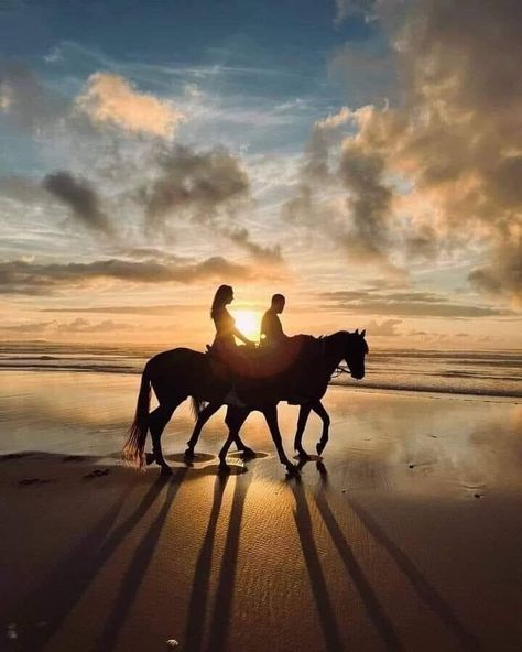 Best Photo Ideas, Horse Wedding Photos, Beach Wedding Pics, Horse Couple, Horse Photography Poses, Couple Photo Ideas, Loving Couples, Horse Wedding, Wedding Photoshoot Props