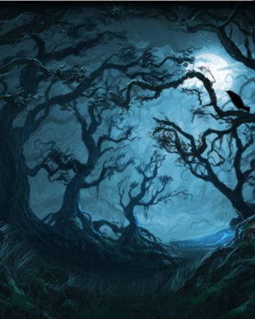 Forbidden Forest | Harry Potter Wiki | Fandom Forbidden Forest Harry Potter, The Forbidden Forest, Hagrids Hut, Harry Potter Wiki, Rubeus Hagrid, Forbidden Forest, Ford Anglia, School Of Witchcraft, Harry Potter Halloween