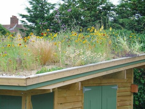 Green Roof Benefits, Eco Roof, Green Roof Garden, Green Roof System, Grass Roof, Shed House Plans, Drainage Channel, Green Roofs, Shed Building Plans