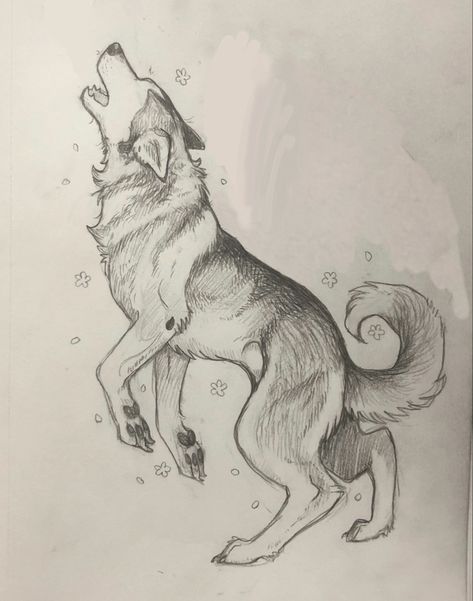 Sketch of a tattoo design of my doggo Wolf Drawing Sketch Simple, How To Draw Husky, Background Art Ideas Simple, Wolf Couple Drawing, Husky Drawing Sketches, Dog Drawing Husky, Eagle Art Draw, Shepard Tattoo, Wolf Drawing Sketch