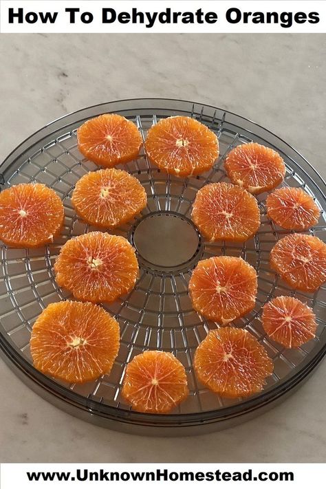 When the kids are not around, the shelf life of fresh oranges seems to shorten very quickly. My favorite way to make them last longer is to dehydrate them into yummy snacks! Dehydrated oranges last a long time, are super yummy and nutritious, and make great crafts! Dehydrate Oranges, Dehydrated Oranges, Dehydrated Orange Slices, Dehydrator Recipes Fruit, Candied Orange Slices, Homestead Recipes, Dehydrated Vegetables, Orange Wedges, Dehydrated Fruit