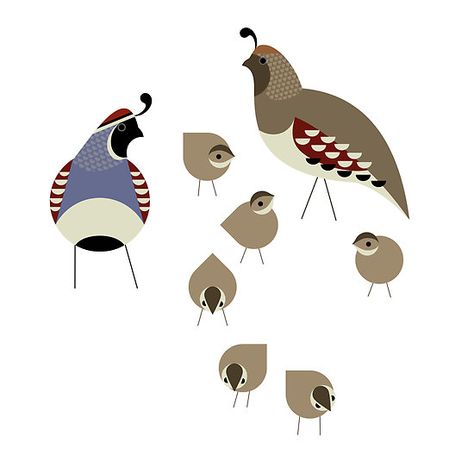 Quail Family by Scott Partridge Quail Print, Quail Art, Quail Family, Scott Partridge, Family Art Print, Quails, Charley Harper, Desert Art, Vertical Poster