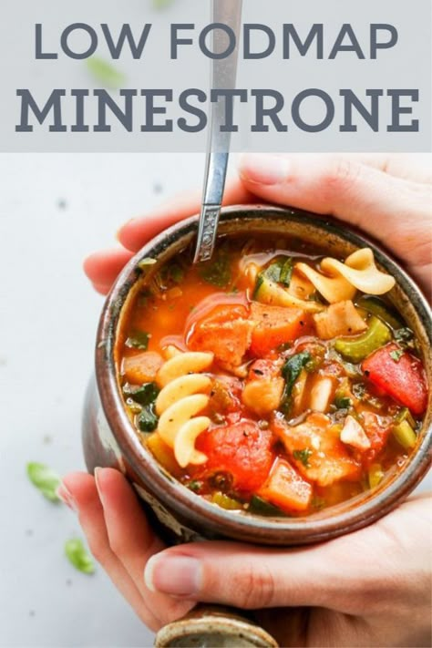 Low Fodmap Recipes Vegetarian, Fodmap Soups, Fodmap Soup, Making Noodles, Low Fodmap Lunch, Sopa Minestrone, Low Fodmap Diet Plan, Fodmap Lunch, Fodmap Dinner