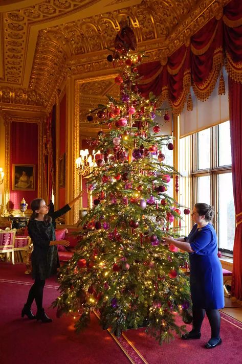 Nordmann Fir Christmas Tree, Castle Christmas, International Interior Design, Castle Decor, Interior Design London, Royal Christmas, Fir Christmas Tree, Traditional Colonial, Christmas Concert