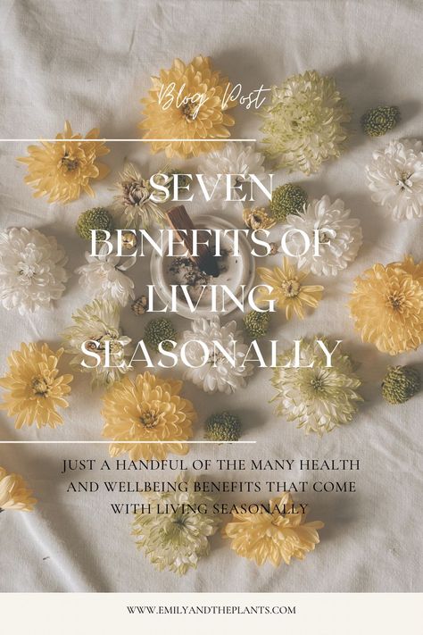 Benefits to Health + Wellbeing I’ve noticed from living more seasonally and adapting with the seasons. How seasonal living improves mind, body, and soul Living Seasonally, Seasonal Living, Spring Ahead, From Farm To Table, Holistic Living, You Better Work, Need A Vacation, Slow Living, Life Inspiration