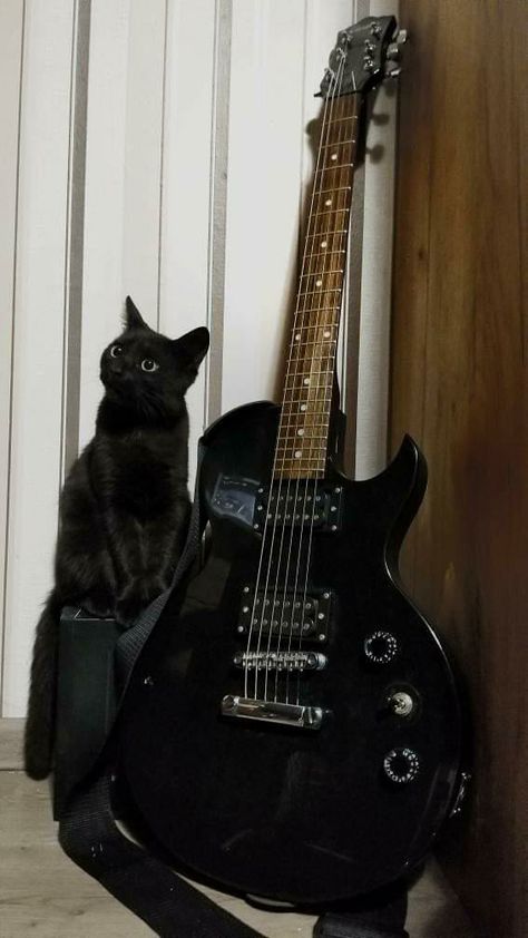 Electric Guitar Black Aesthetic, Goth Guitar Aesthetic, Electric Guitar Case Aesthetic, Cats And Guitars, Remicore Aesthetic, Female Fetale Aesthetic, Electro Guitar Aesthetic, Cat With Electric Guitar, Guitar Wallpaper Aesthetic