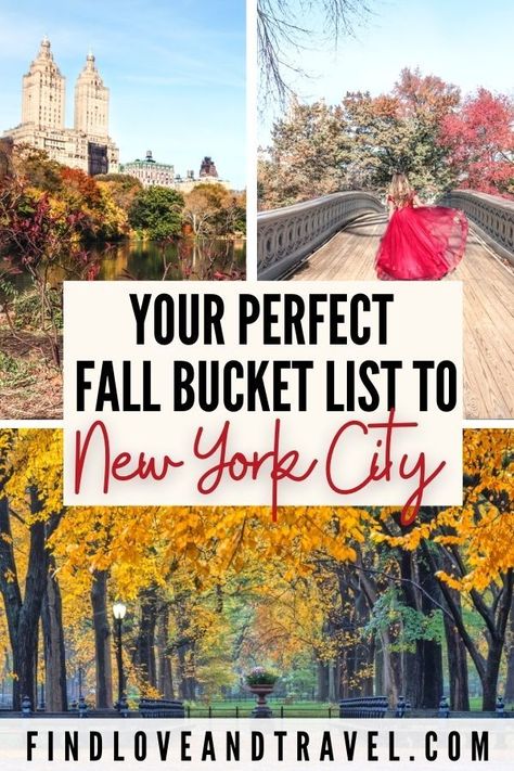 Fall Itinerary, Nyc Autumn, Fall In Nyc, Nyc Bucket List, Travel Nyc, Nyc Photos, Things To Do In Nyc, New York City Vacation, Nyc Fall