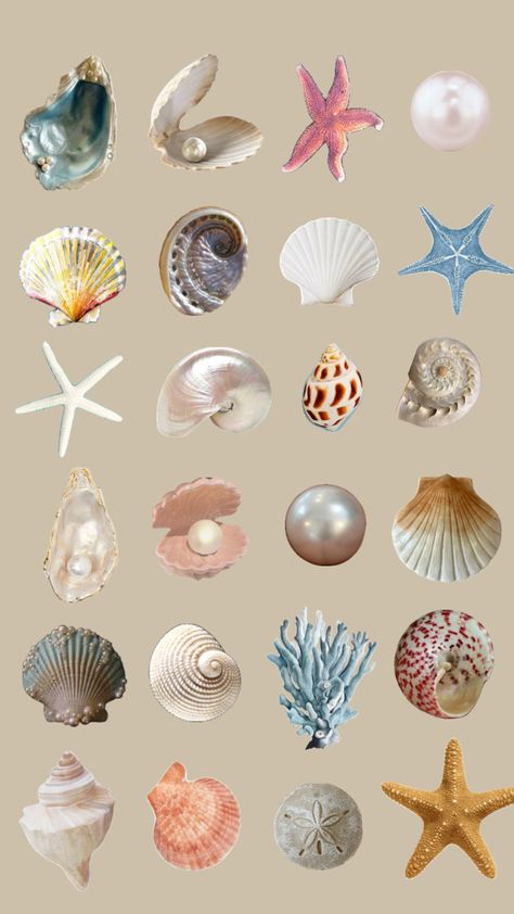 Seashells Photography, Clear Phone Case Design, Digital Art Journal, Preppy Vsco, Apple Background, Jellyfish Art, Scrapbook Printing, Mermaid Aesthetic, Scrapbook Stickers Printable